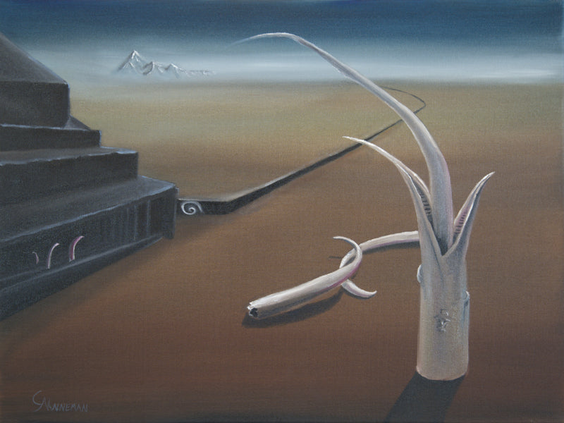 Emergence Of Life